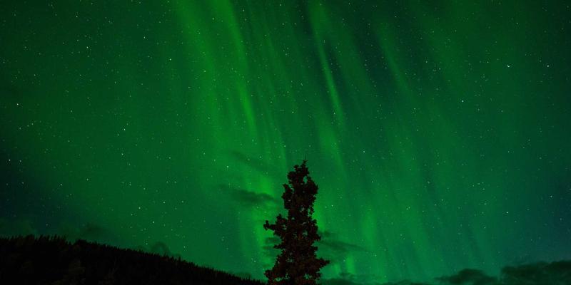 告别“尽力而为”：基于Segment Routing的流量工程如何重塑IP核心网的智能与效率