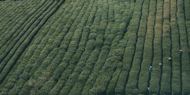 多云与混合云网络互联:云交换中心(IX)与专用连接的技术选型指南